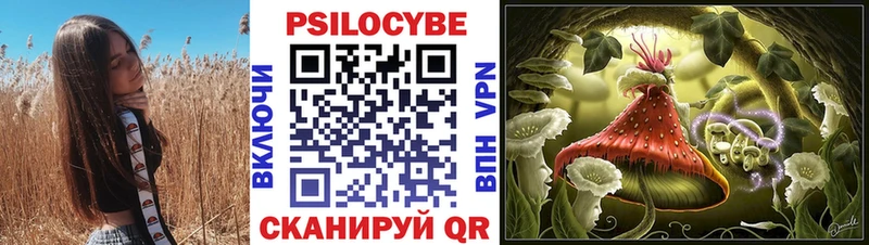 Псилоцибиновые грибы Psilocybine cubensis  Купить  Ишим 