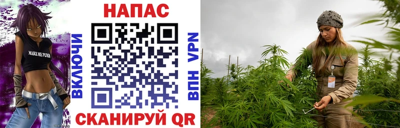 Канабис MAZAR  Купить где  Ишим 